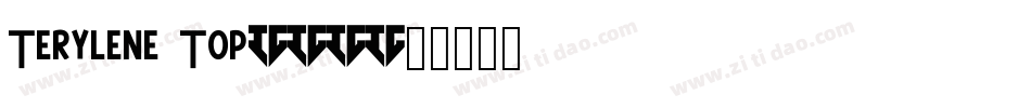 Terylene Top(1)字体转换